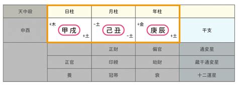 年柱 納音|納音（なっちん）の年の事例